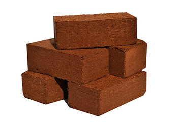 Coco Bricks